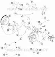 DYNAMO