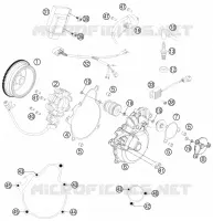 DYNAMO
