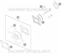 MEMBRAAN