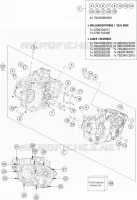 CARTERDELEN