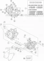 CARTERDELEN