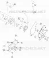 DYNAMO